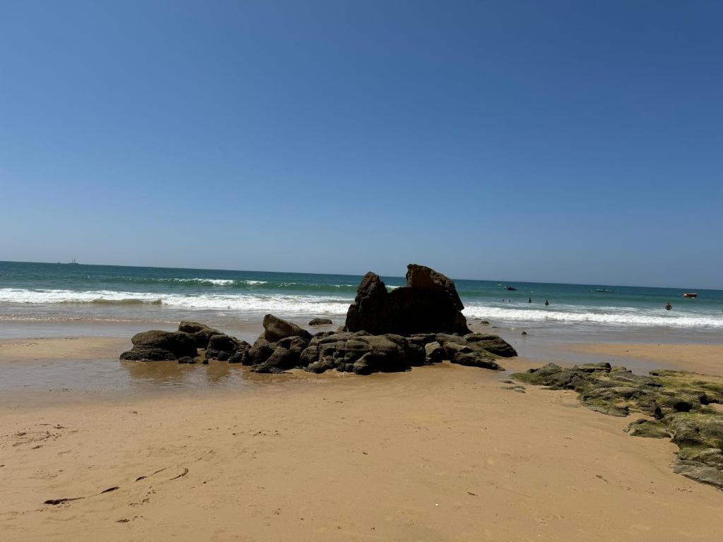 Apartamentos Do Parque - 16