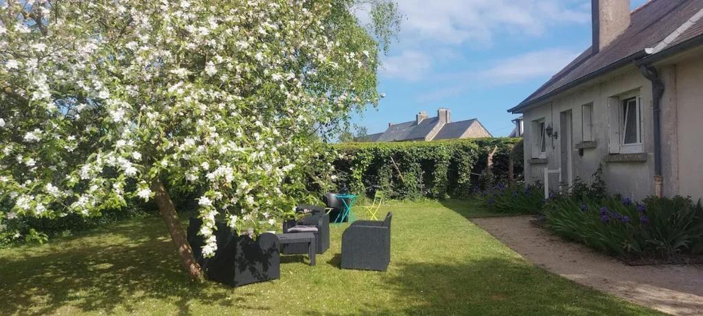 un arbre avec des fleurs blanches dans la cour d'une maison dans l'établissement Maison familiale à proximité du Mont St Michel, à Saint-Méloir-des-Ondes