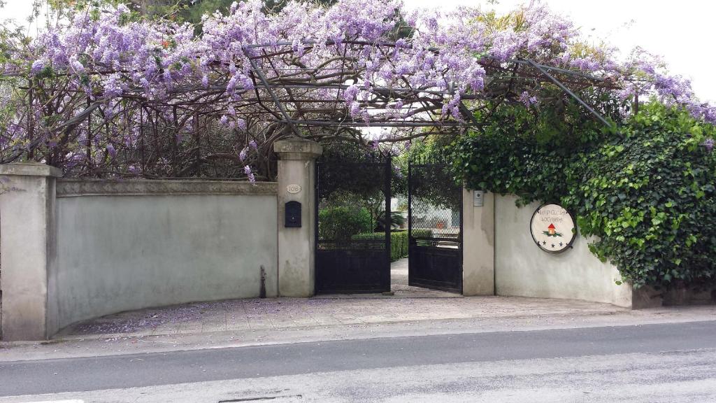 an open gate with purple flowers on a fence at La Piccola Locanda in Modica