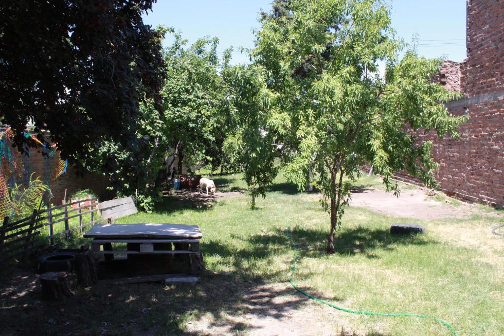 una mesa de picnic en un patio con árboles y un edificio en Hostal, La Casa del Patio, en Bahía Blanca