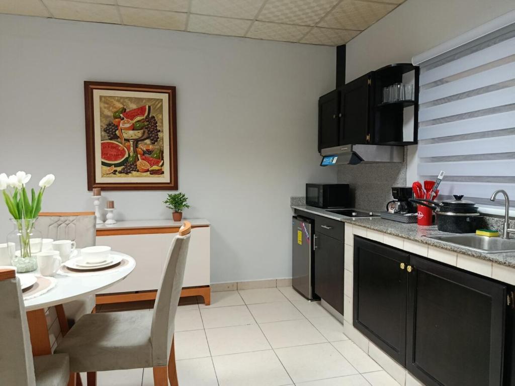 Kuchyň nebo kuchyňský kout v ubytování Apartamentos Marconela