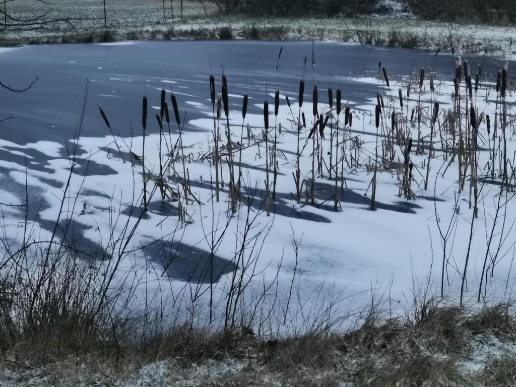 Blåbjerg Barn v zimě