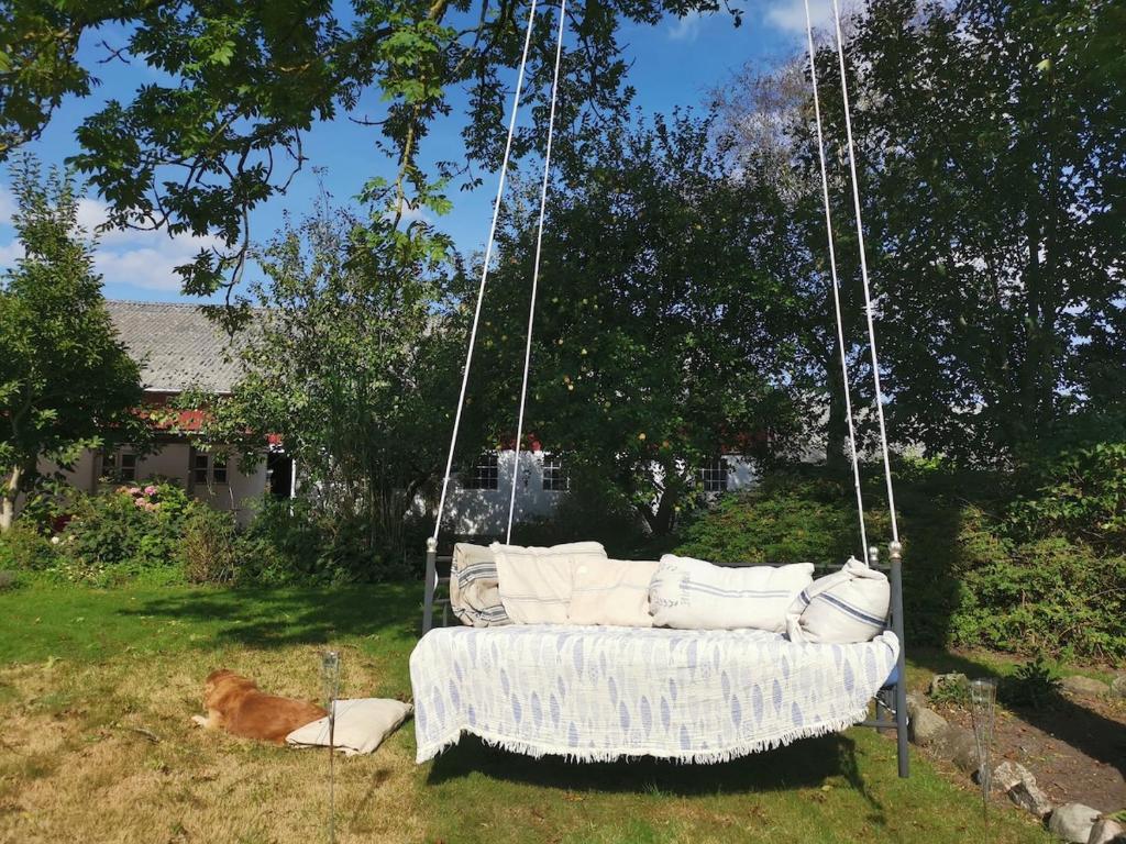 Zahrada ubytování Blåbjerg Barn