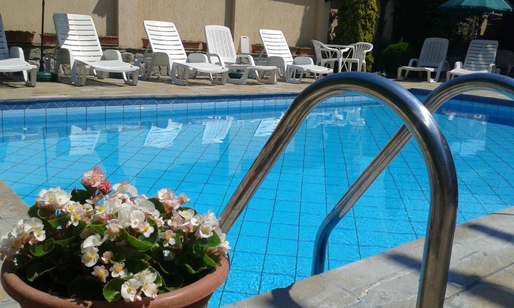 garnek kwiatów obok basenu w obiekcie Família Apartmanház w mieście Keszthely