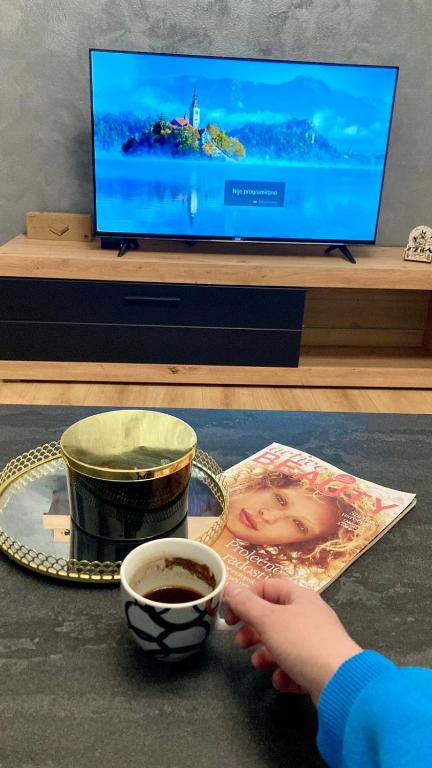 TV a/nebo společenská místnost v ubytování SANI