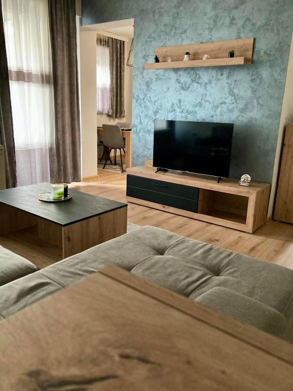 TV a/nebo společenská místnost v ubytování SANI