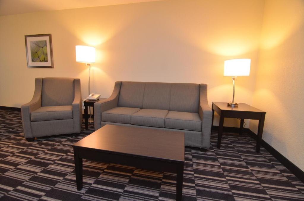 AmericInn by Wyndham Mount Pleasant - Suite Monolocale King Deluxe - Non Fumatori