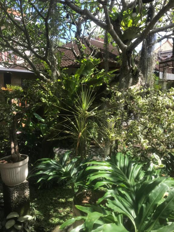 Giardino di GUS ARDITYA HOMESTAY