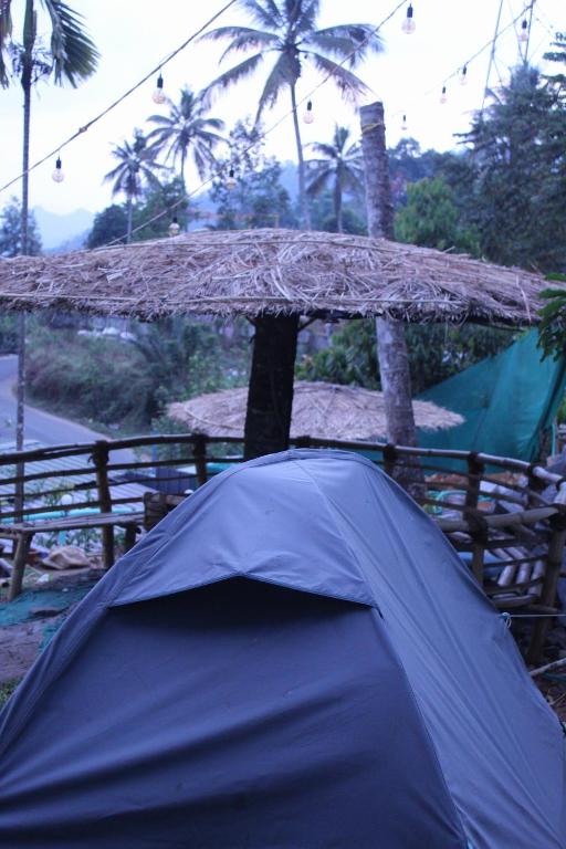 Příroda nedaleko luxury tent