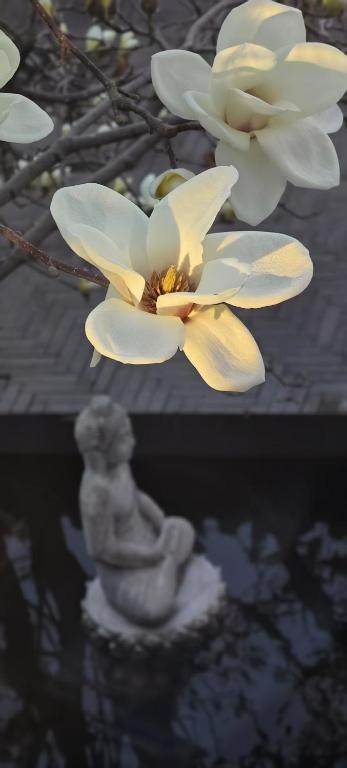 Fotografie z fotogalerie ubytování Hotel Cote Cour Deductive Beijing - Quadrangle close to Tiananmen Square & Forbidden City & Nanluoguxiang, Walk to Wangfujing, English speaking, Free WiFi, Free Laundry, Free Wonton & Noodles with Tour ticket service, Free selfies with ancient costume v Pekingu