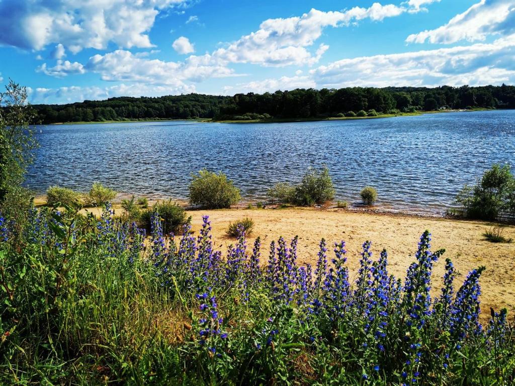 a view of a lake with purple flowers at Maison conviviale avec terrasse privée à Sanchey - FR-1-589-800 in Sanchey