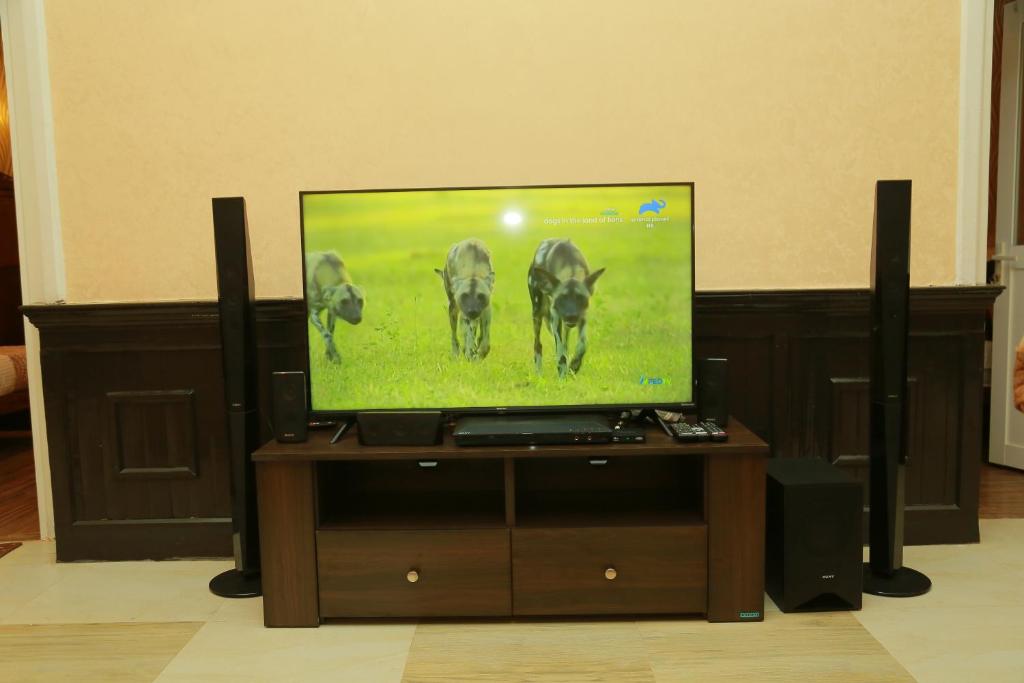 TV a/nebo společenská místnost v ubytování Gregory Lake View Bungalow