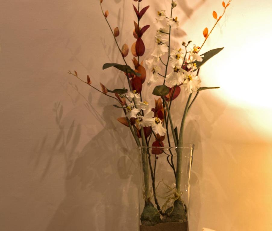 Three Cities Apartments - 12