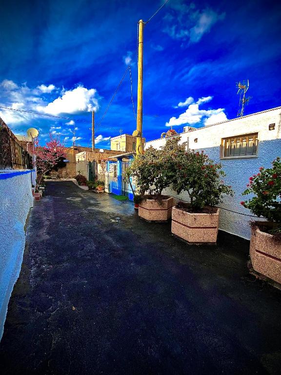 a street with potted plants on the side of a building at Truly Apulia in Bari