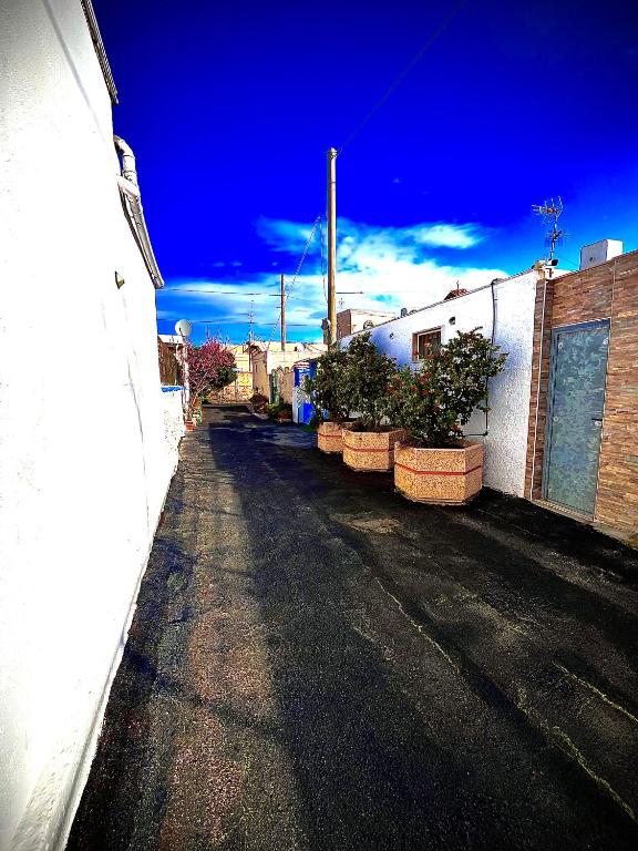 an alley with potted plants on the side of a building at Truly Apulia in Bari