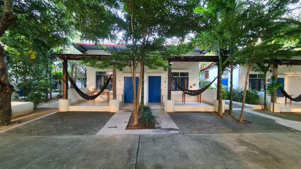 Canary Guesthouse - 5