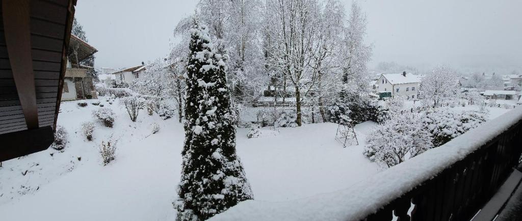 a snow covered yard with trees and a fence at Haus Christof in Bodenmais