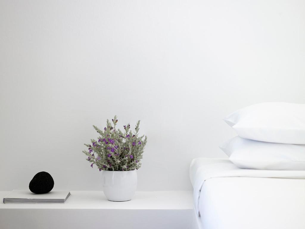 Aurora Santorini - 3