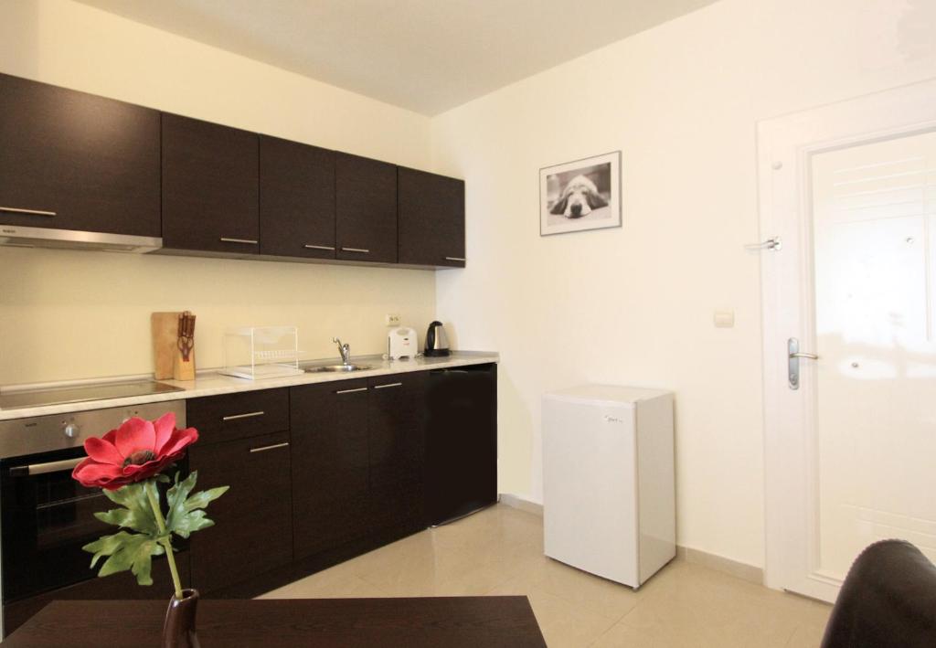New Line Village Apartments - 带阳台的一居室公寓