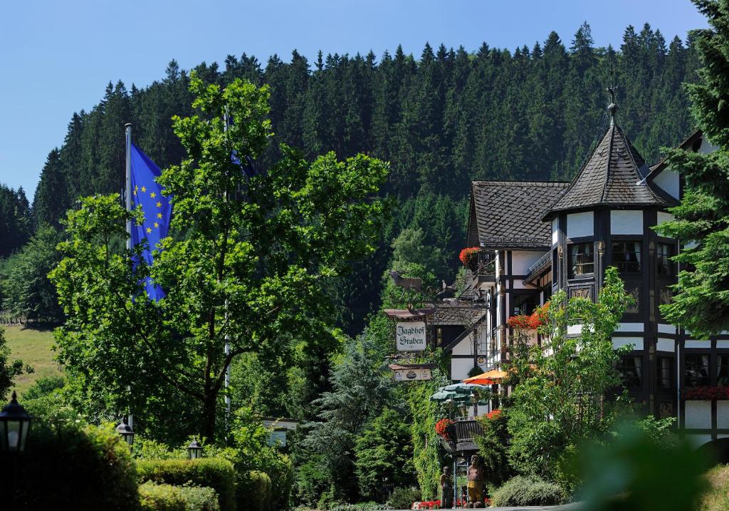Příroda nedaleko hotelu