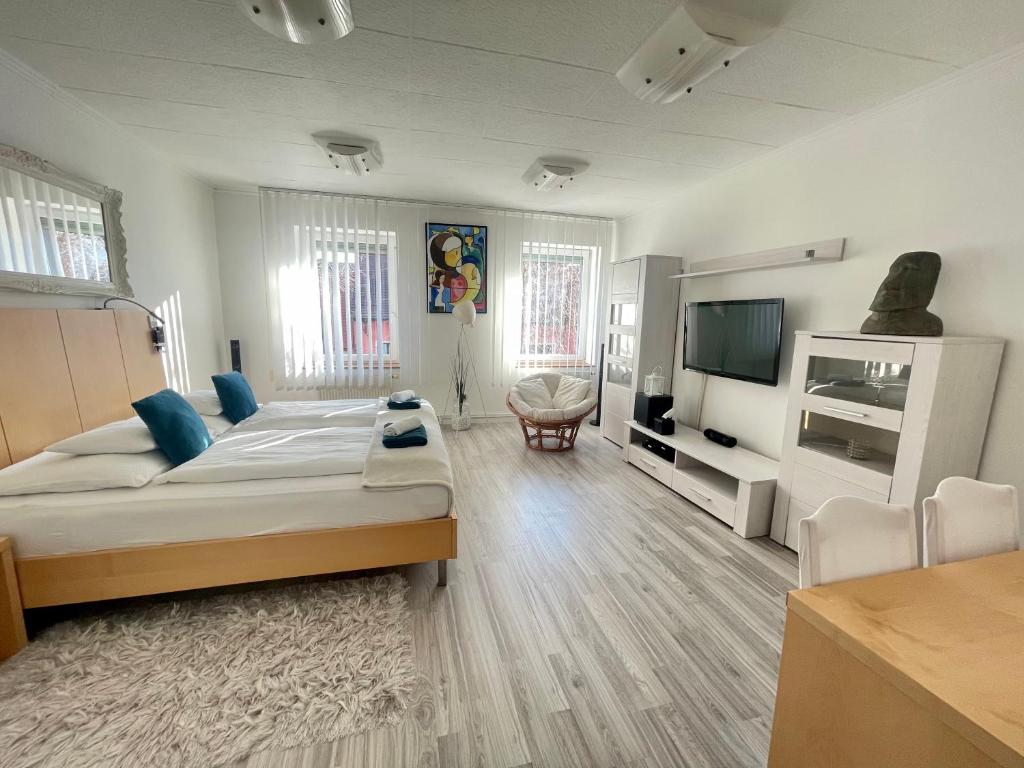 Televízia a/alebo spoločenská miestnosť v ubytovaní Alpesi Apartman Downtown