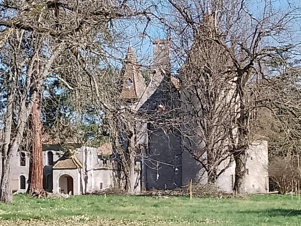 Κήπος έξω από το Apartment in a Renaissance castle