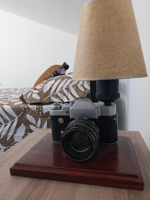 Fotografie z fotogalerie ubytování Olive garden house v destinaci Petrovaradin