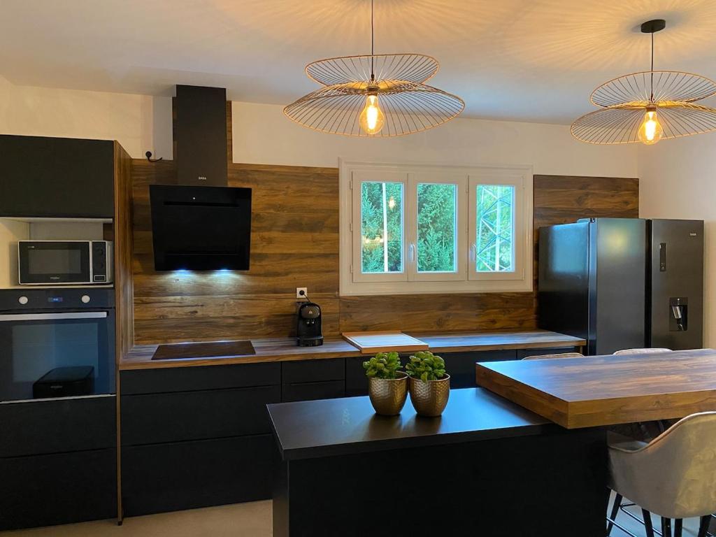 Il comprend une cuisine équipée d'un réfrigérateur et d'une table avec des plantes. dans l'établissement Charmante maison de famille avec jardin, à Solférino