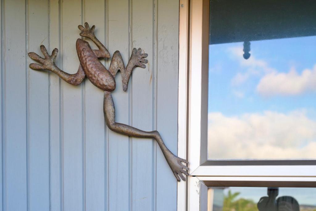 Seabreeze Pearl - Resim 32