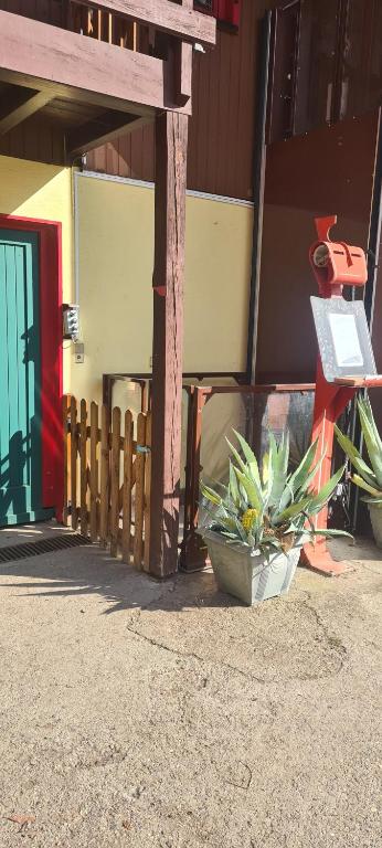 Fotografie z fotogalerie ubytování Gîte et chambres d'hôtes Les Framboises v destinaci Katzenthal