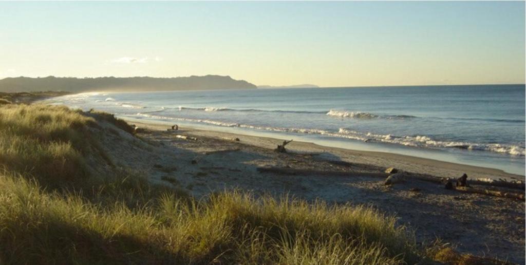 Two Bare Feet - Resim 35