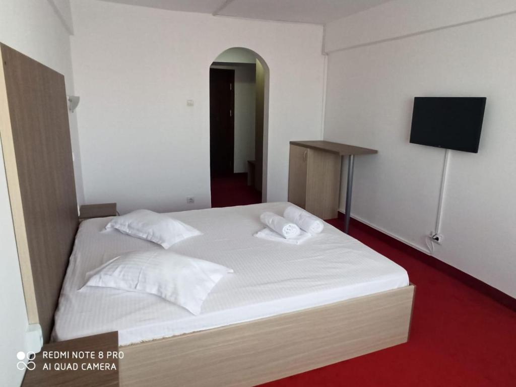 Postel nebo postele na pokoji v ubytování Hotel viilor