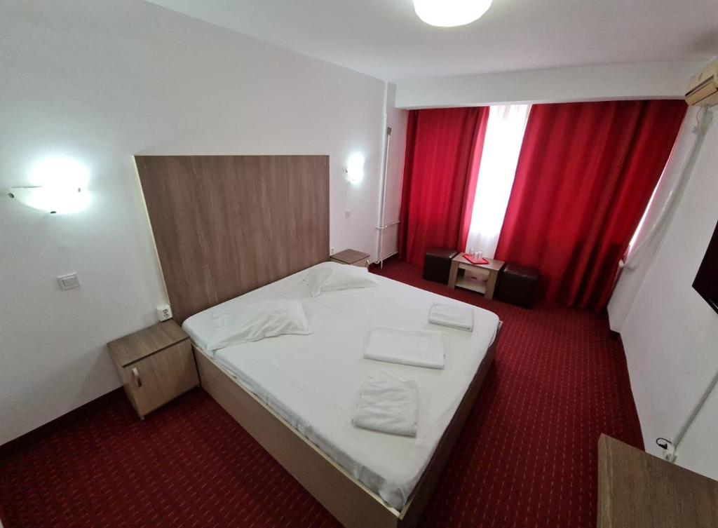 Postel nebo postele na pokoji v ubytování Hotel viilor