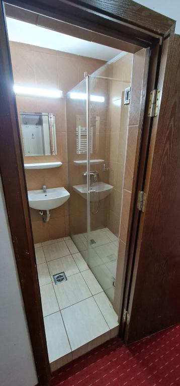 Koupelna v ubytování Hotel viilor