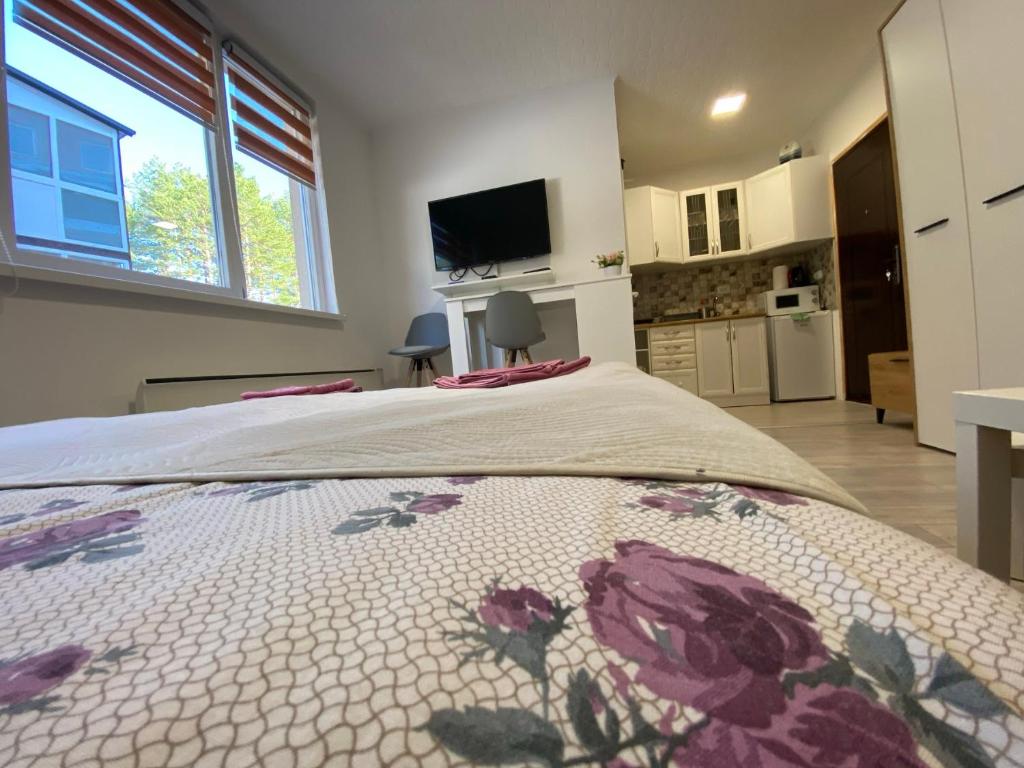 Kuchyň nebo kuchyňský kout v ubytování Apartmani Krčmarica 9