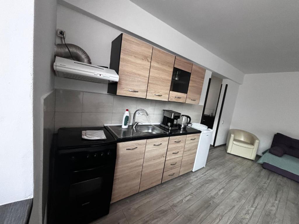 Fotografie z fotogalerie ubytování Apartament ultracentral Vatra Dornei v destinaci Vatra Dornei