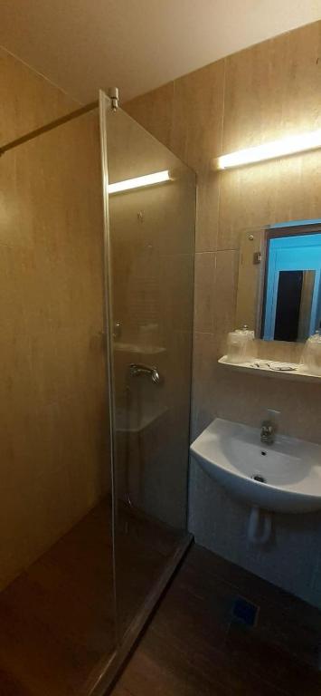 Koupelna v ubytování Hotel viilor