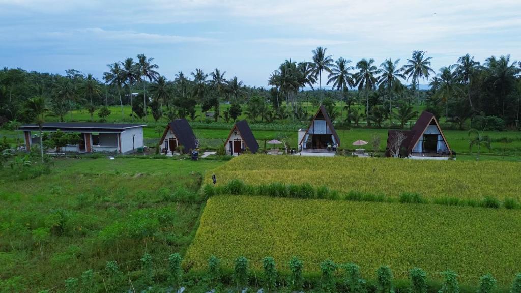 Κήπος έξω από το Hidden Villa