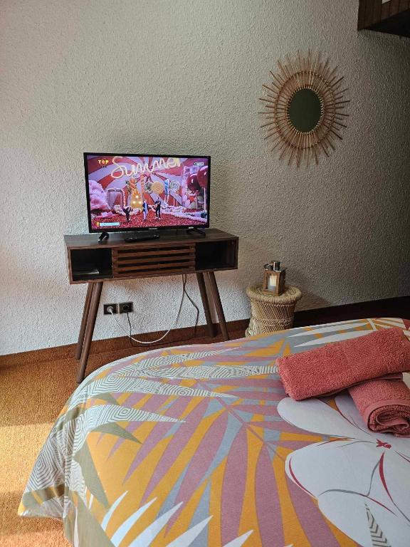 TV a/nebo společenská místnost v ubytování Cinéma, Chambre Privée Au Le Refuge Du Phoenix