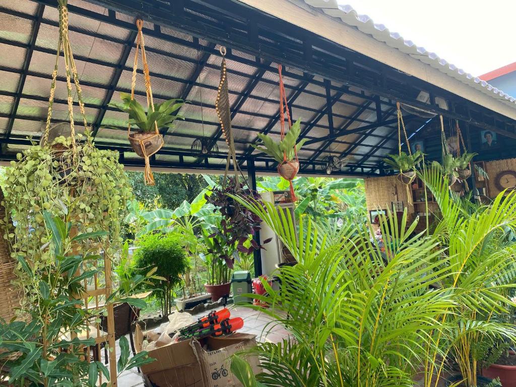 Zahrada ubytování Derm Svay Guesthouse - yoga & cafe