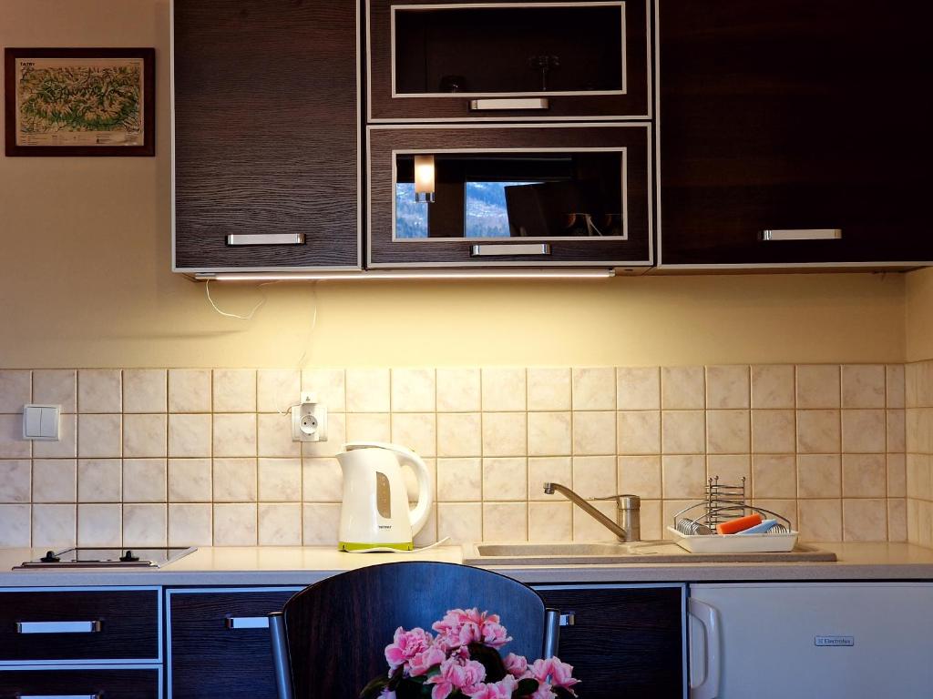 Kuchyňa alebo kuchynka v ubytovaní ZAKOapartamenty BUTOROWY RESIDENCE