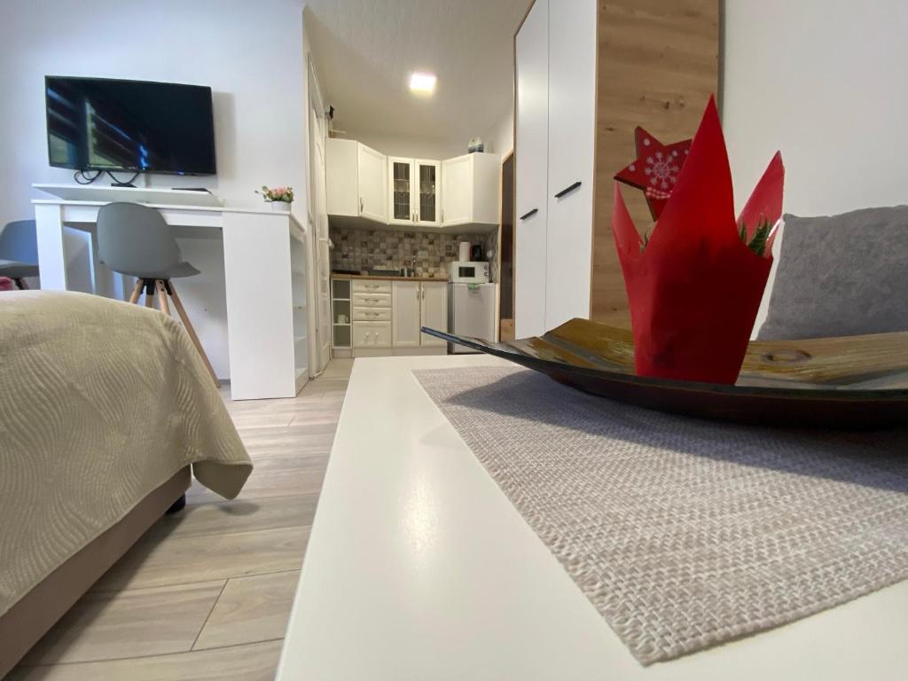 Kuchyň nebo kuchyňský kout v ubytování Apartmani Krčmarica 9
