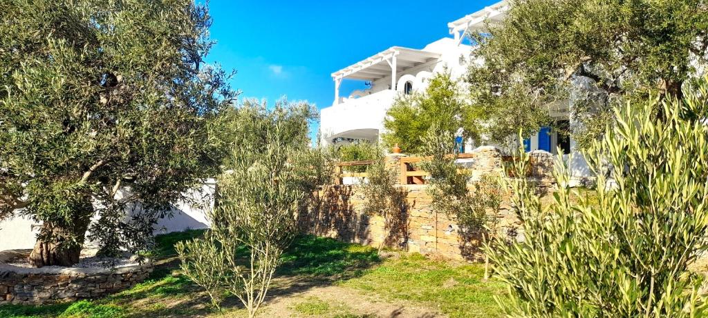 Vonkajšia záhrada v ubytovaní Aspra Chomata Villas