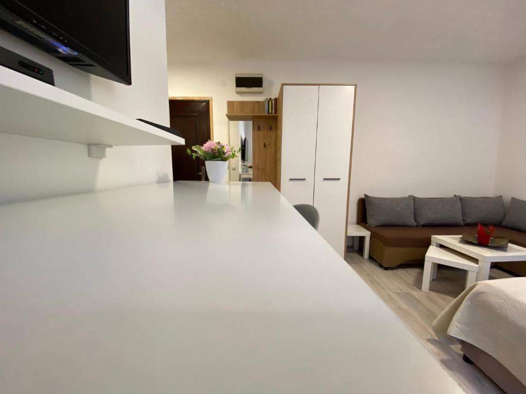 Kuchyň nebo kuchyňský kout v ubytování Apartmani Krčmarica 9