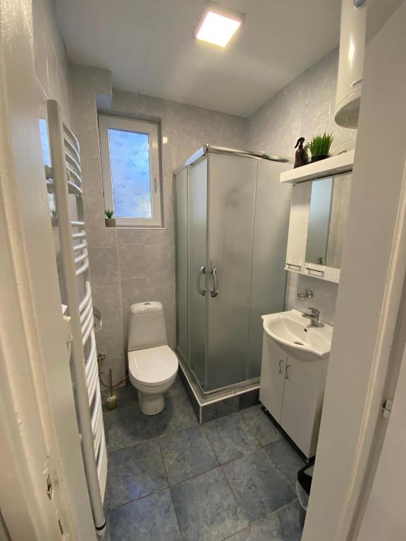 Koupelna v ubytování Apartmani Krčmarica 9
