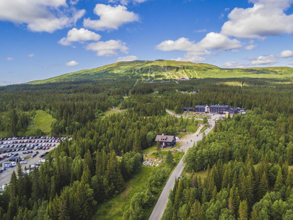 Příroda nedaleko apartmánu