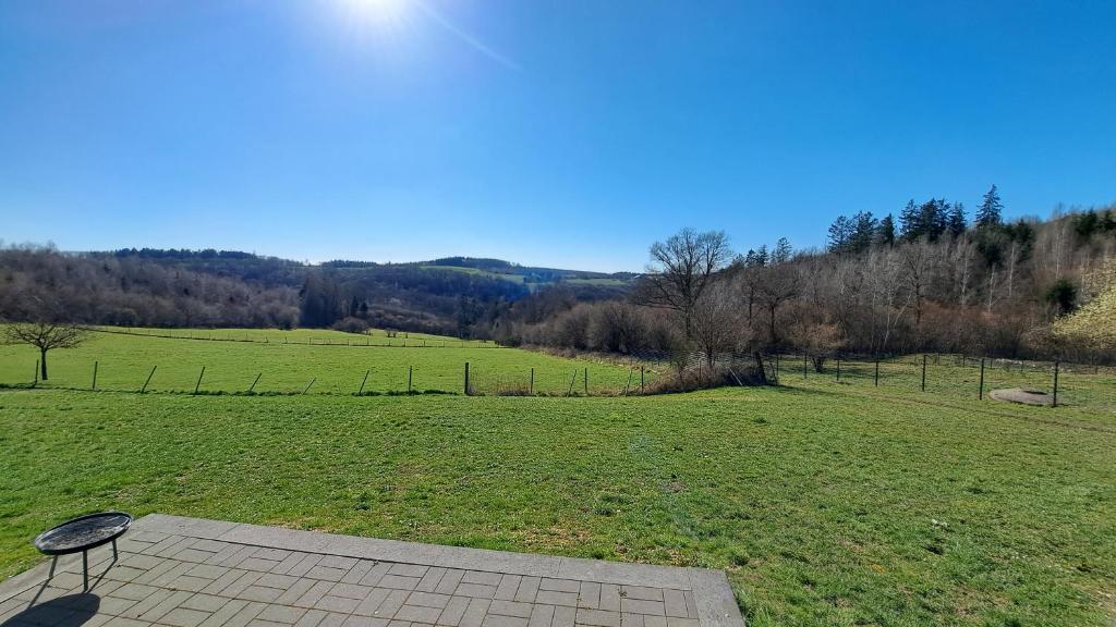 a bench sitting in a field of grass at Am Hohestein in Briedeler Heck