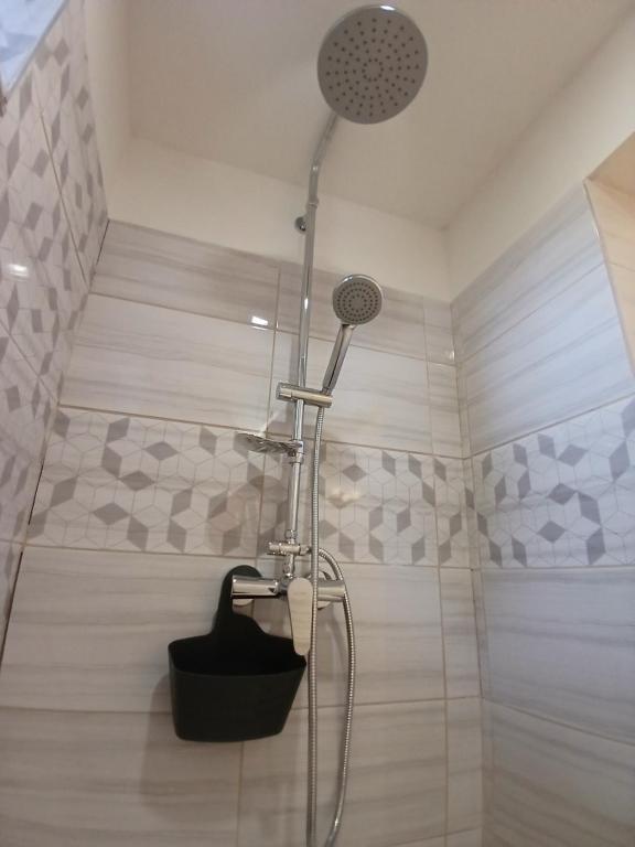 una doccia con soffione in un bagno di Chaloupka VANYDAN a Vejprty