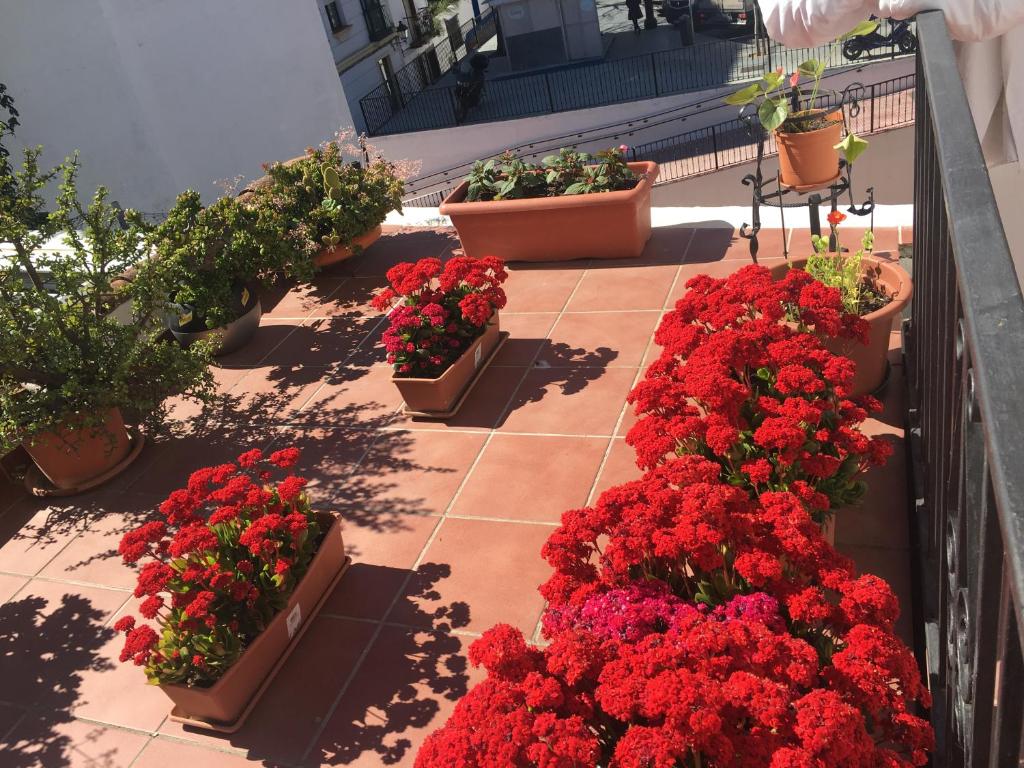 Pensión Aduar - Resim 40