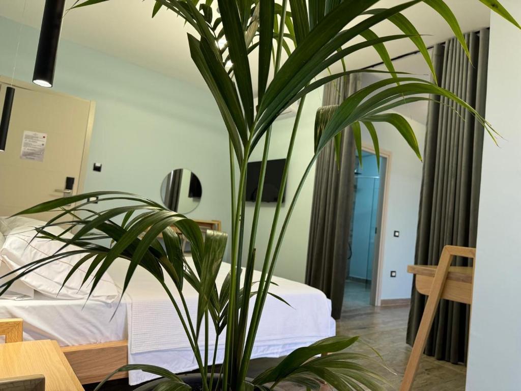 Postel nebo postele na pokoji v ubytování Imperial suite Vlora